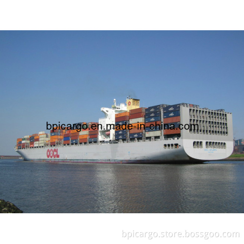 Shanghai Sea Freight Forwarder Logistic Service